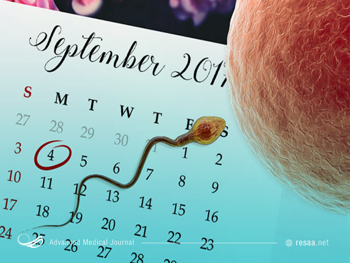 چون زنان تنها در روزهای خاصی از دوره 28 روزه خود بارداری میشوند، استفاده از تقویم تخمک گذاری در جلوگیری از بارداری موثر است