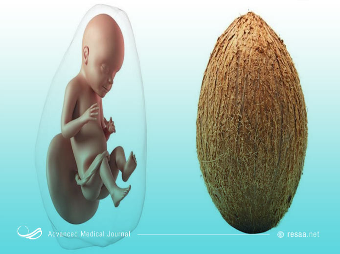 جنین در این زمان قادر است به محرک‌هایی مثل صدا پاسخ دهد.