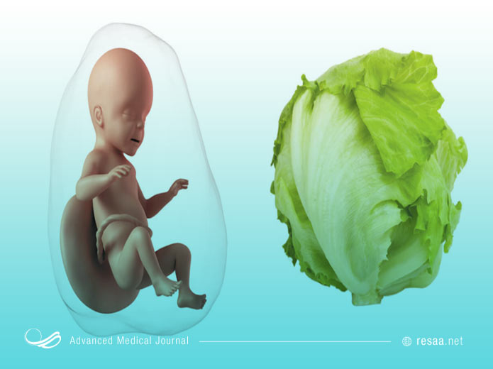 جنین در پایان هفته 32ام بارداری قادر به تشخیص صداها است.