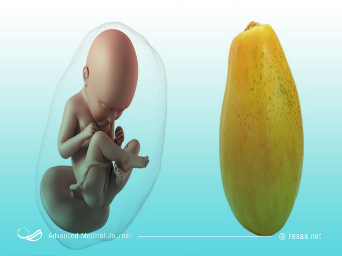 پایان هفته 36ام جنین مراحل رشد خود را تکمیل کرده است.