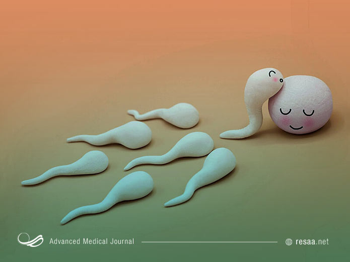 با عمل لقاح و شروع بارداری تغییرات هورمونی بسیاری در بدن مادر رخ میدهد