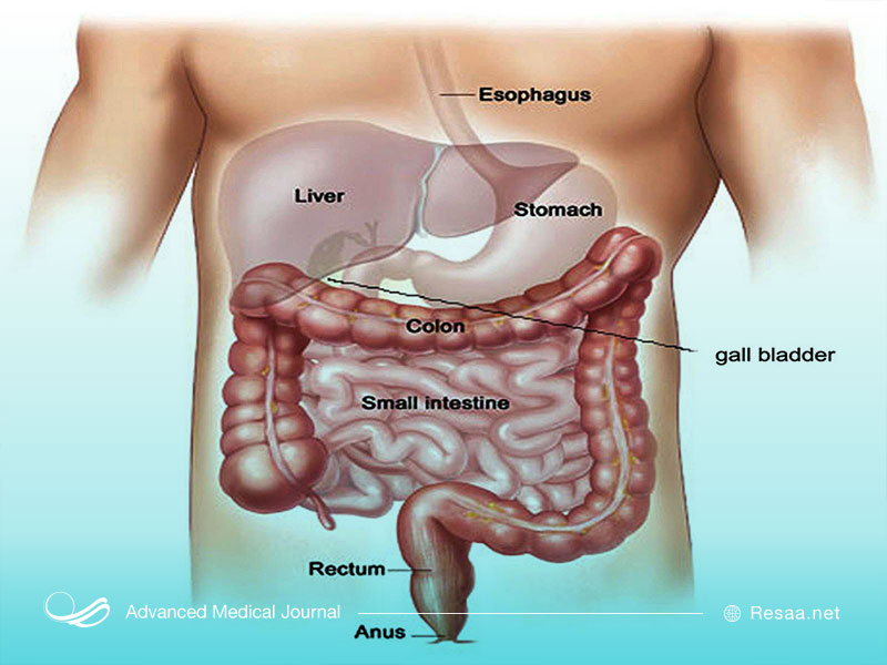 علائم و نشانه های ابتلا به سرطان معده