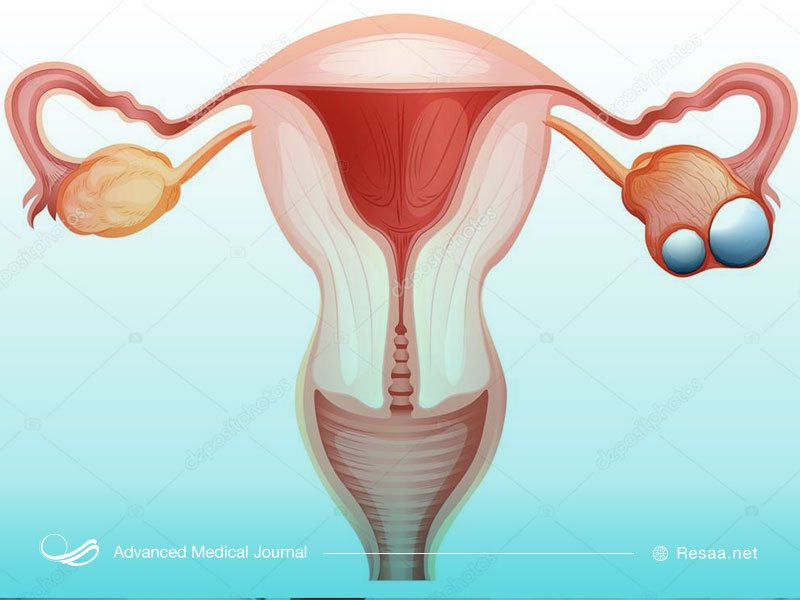 ساختار تخمدانها