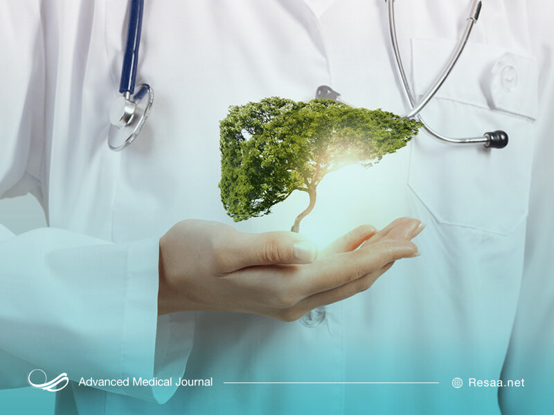 با رعایت سبک زندگی و تغذیه خود سلامت کبدتان را تضمین کنید.