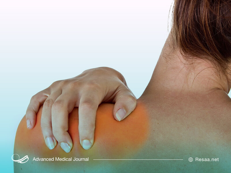 اناتومی شانه