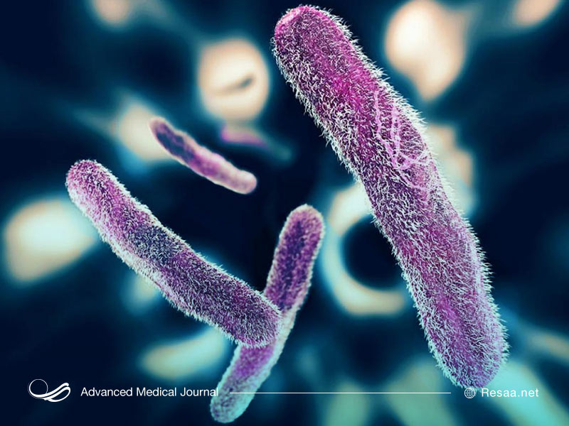 غذای آلوده یکی از دلایل اسهال خونی میباشد