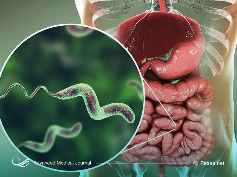 عدم رعایت نکات بهداشتی یکی از مواردی است که باعث اسهال خونی میشود.