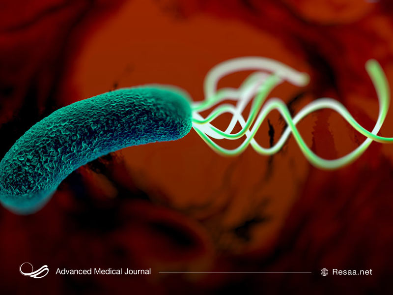 این باکتری سبب آسیب به پوشش معده میشود.