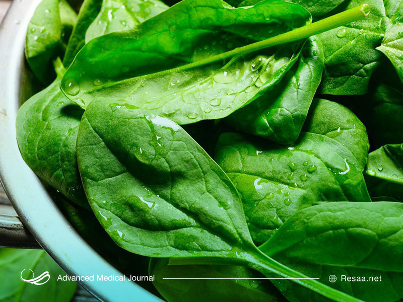 مصرف پروتئین و سبزیجات