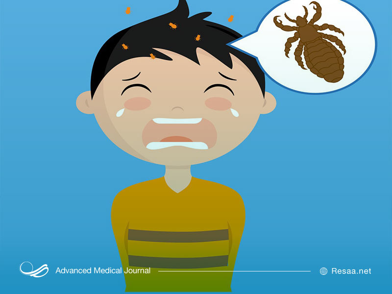 ضدعفونی کردن محیط برای از بین بردن شپشها کافی است.