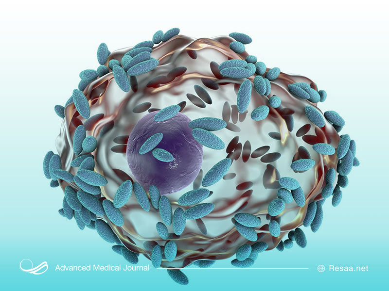 علایم ابتلا به عفونت قارچی واژن