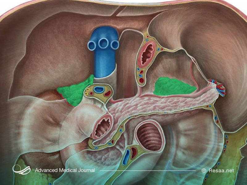 نارسایی ثانویه غده آدرنال
