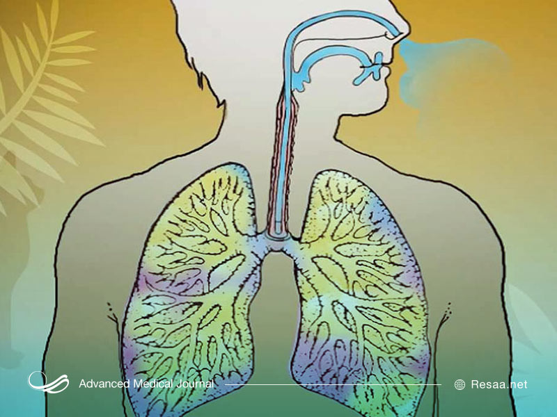 آسم در بزرگسالان