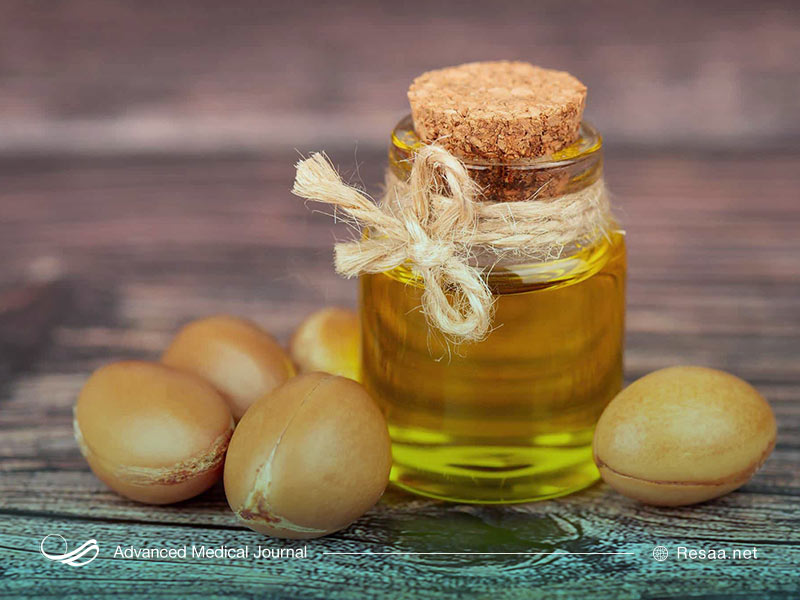 روغن آرگان از درخت آرگان در مراکش به دست میآید