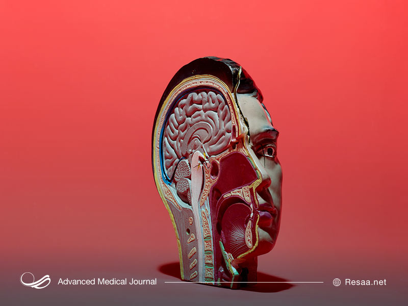 راههای تشخیص زوال عقل