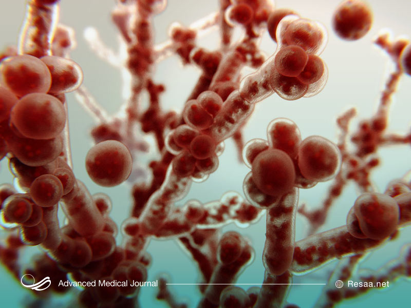 علایم بیماری کولیت روده