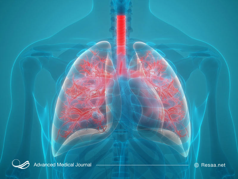 کارکرد ریه‌ها چگونه است؟