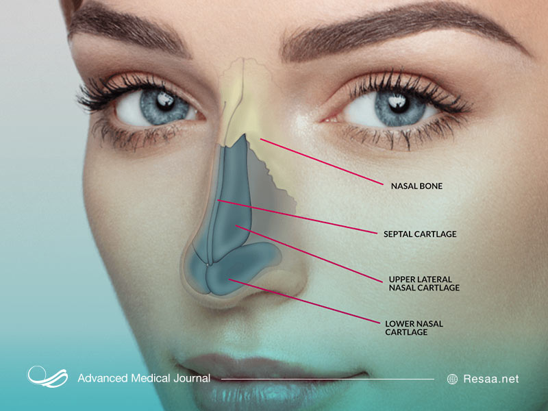 نکاتی درباره عمل جراحی بینی