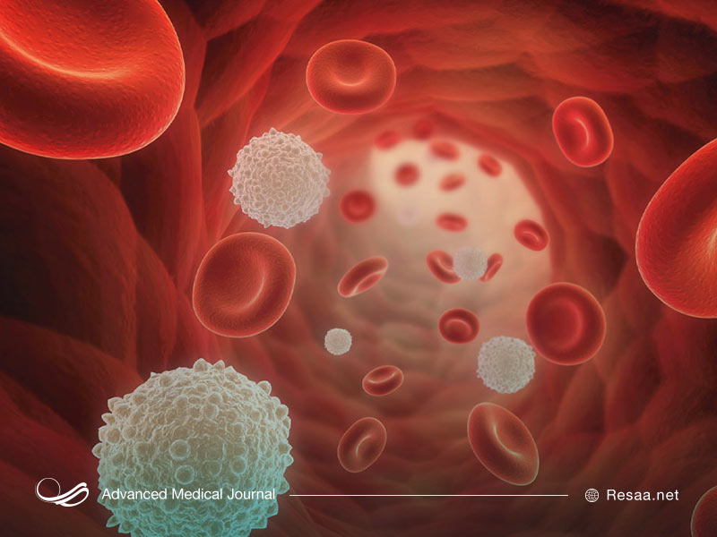 پلاکت‌ها نقش مهمی در لخته شدن خون و خونریزی‌ها دارند.