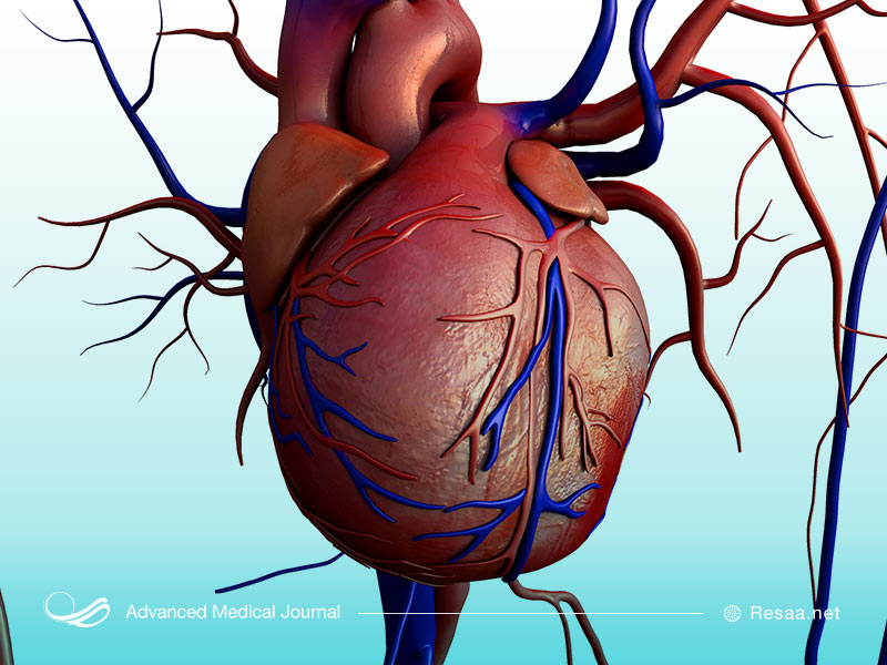 درمان بزرگ شدن قلب