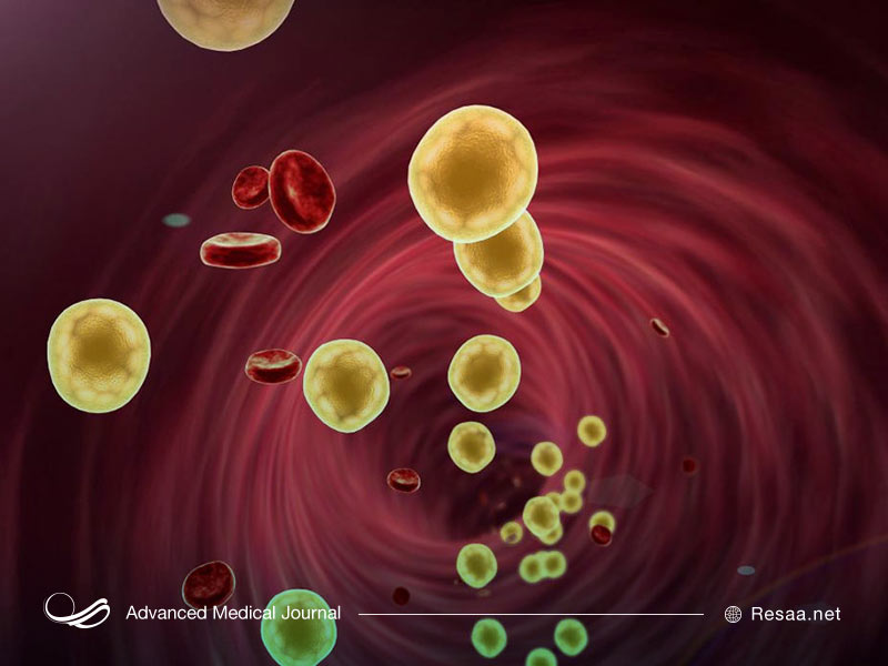 چربی خون چیست؟