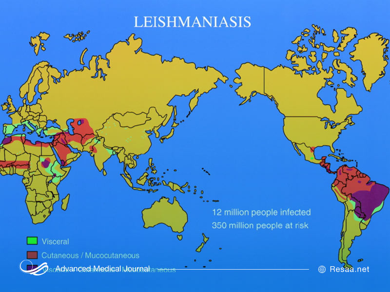 بیماری سالک و نقشه فراگیری آن