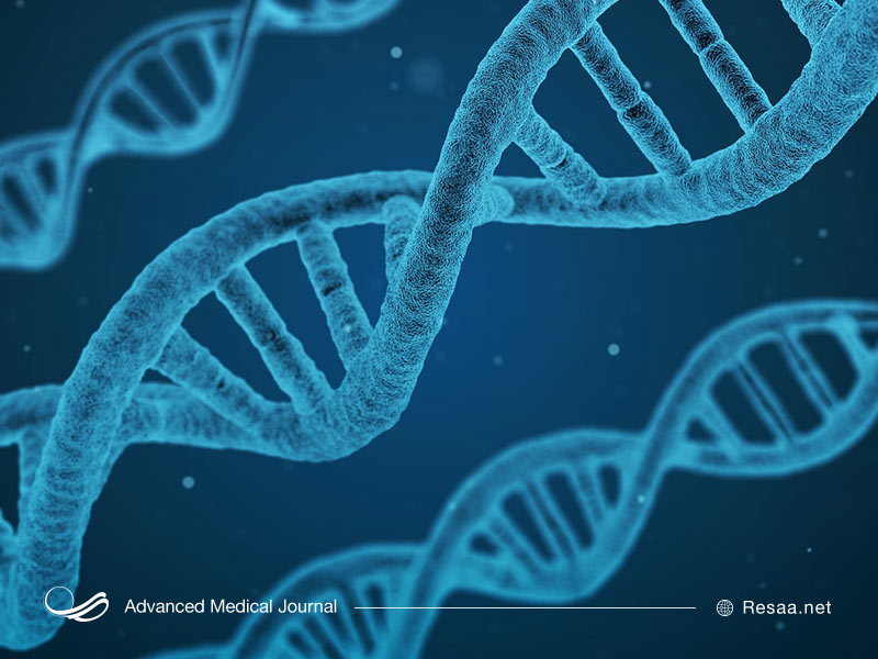 عوامل موثر بر شخصیت ضد اجتماعی