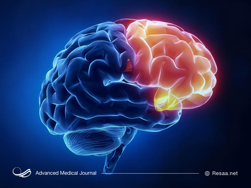 ساختار مغز و شخصیت ضد اجتماعی