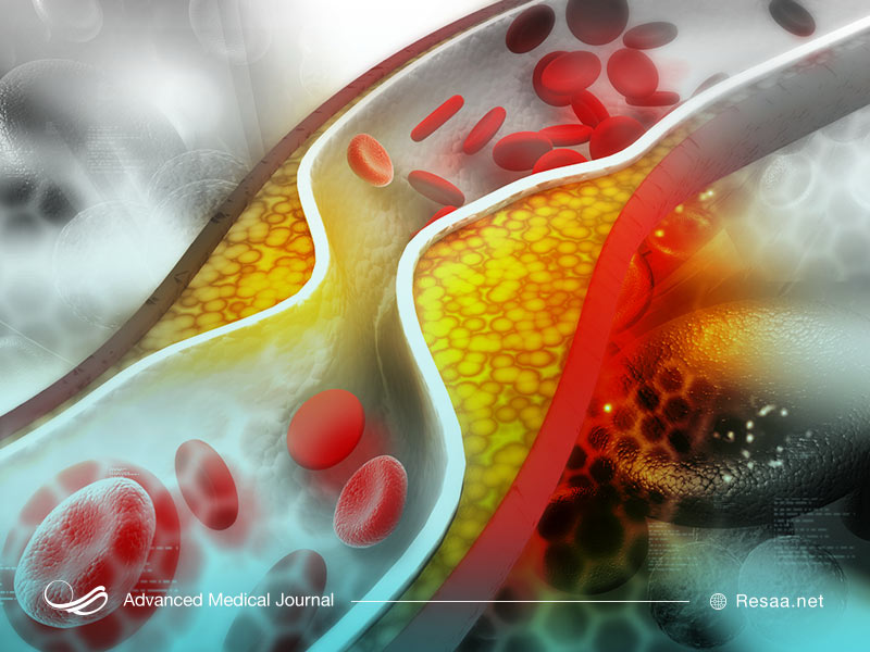 وجود کلسترول لزوما بد نیست
