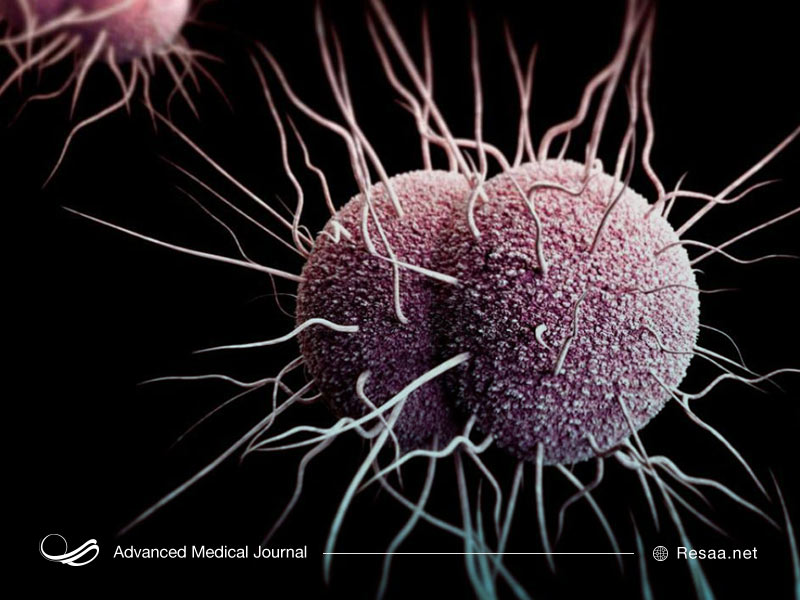 سوزاک مناطق گرم و مرطوب بدن را آلوده می‌کند