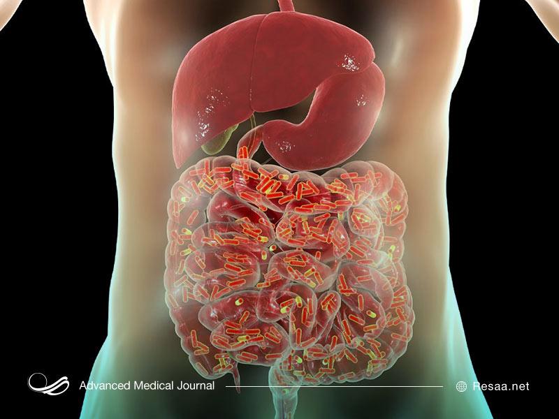 انواع کرم انگل