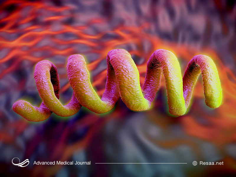 سفلیس چیست؟