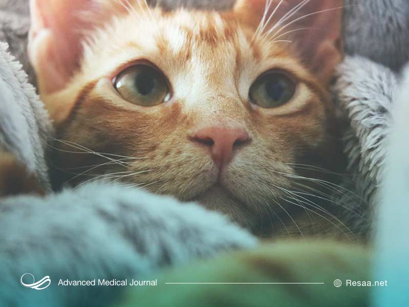 توکسوپلاسموز مادرزادی