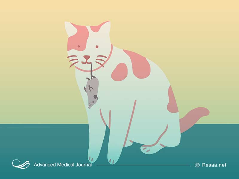 سیستم ایمنی ضعیف