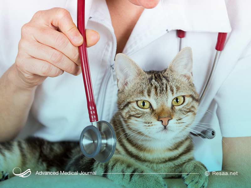 تشخیص توکسوپلاسموز