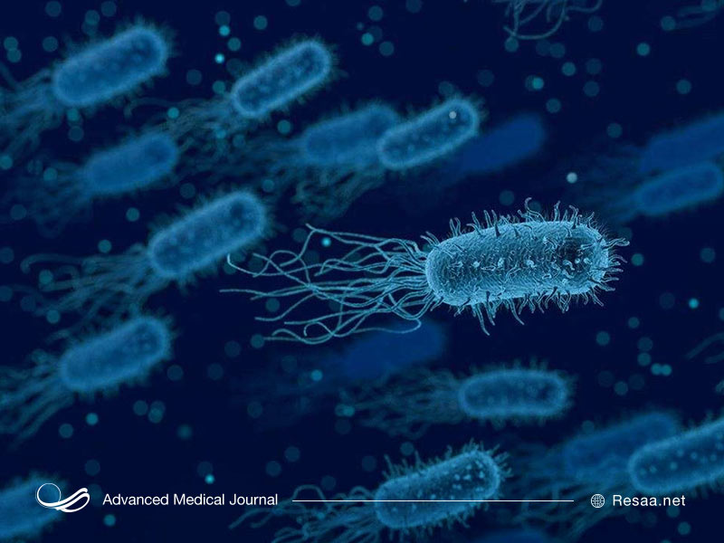 شکل باکتری تب مالت