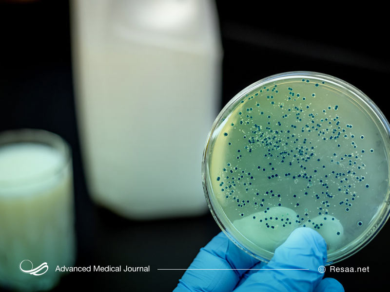 راه‌های انتقال بیمار تب مالت