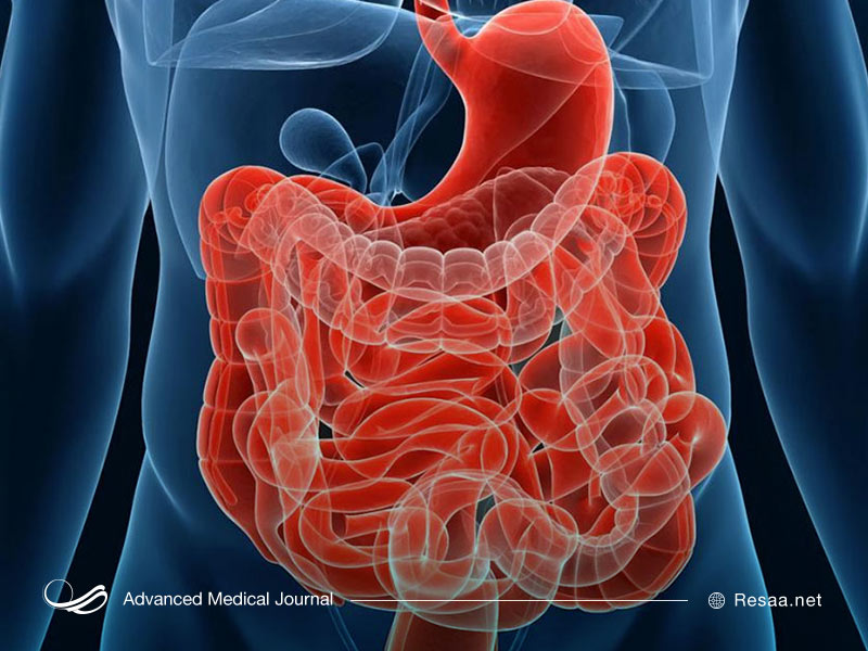 افزایش فیبر در غذاها