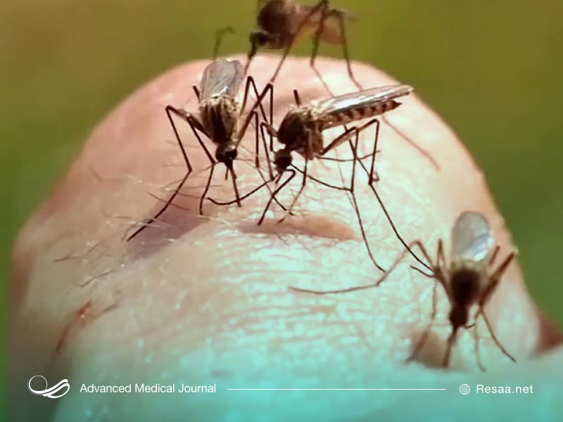 ویروس نیل غربی چیست؟