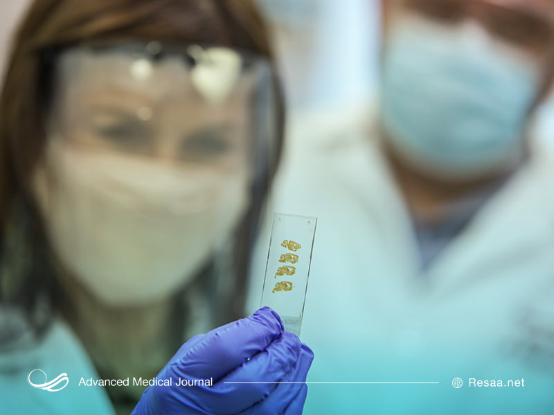 نمونه آزمایشی