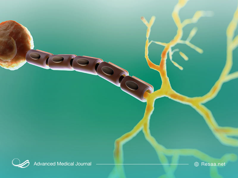 تشخیص بیماری