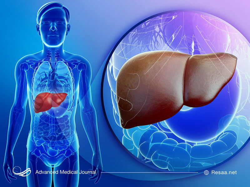 بیماری های کبدی