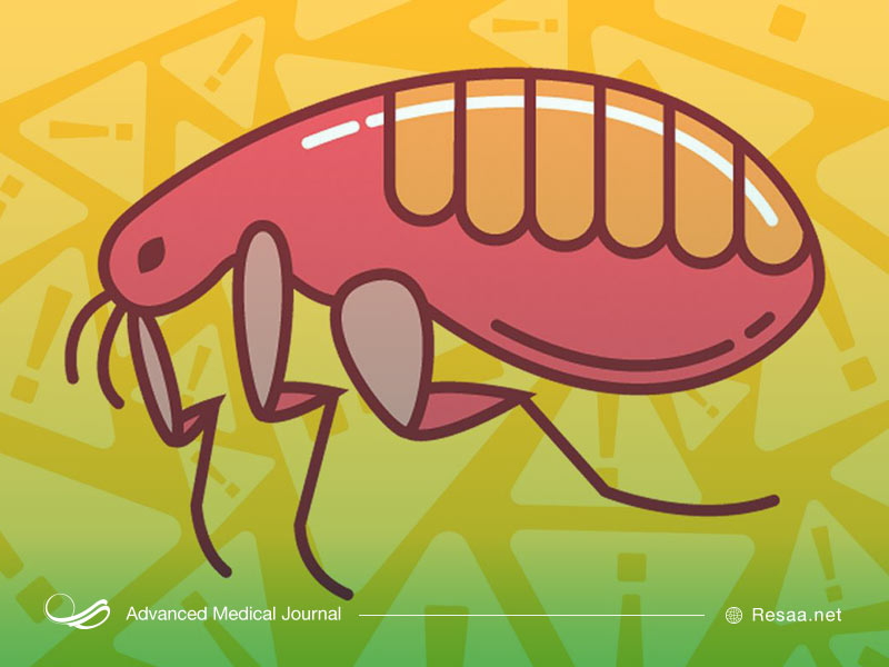 تشخیص توکسوپلاسموز