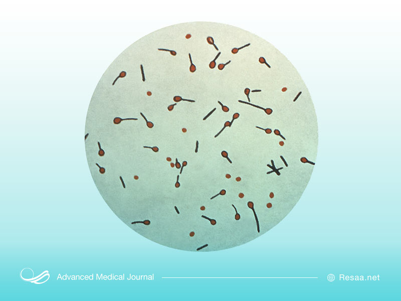 راههای درمان بیماری باکتریایی