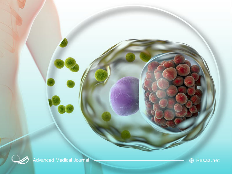 عفونتهای مقاربتی