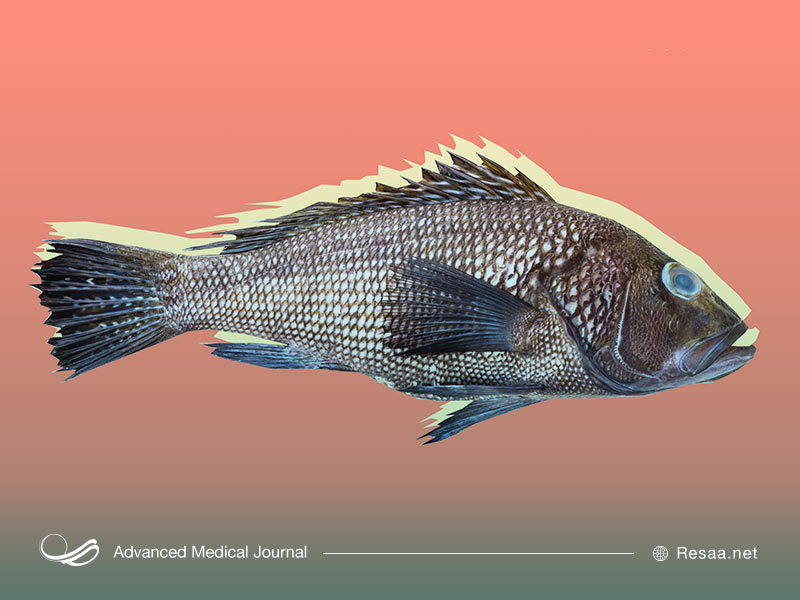 بوی بد واژن