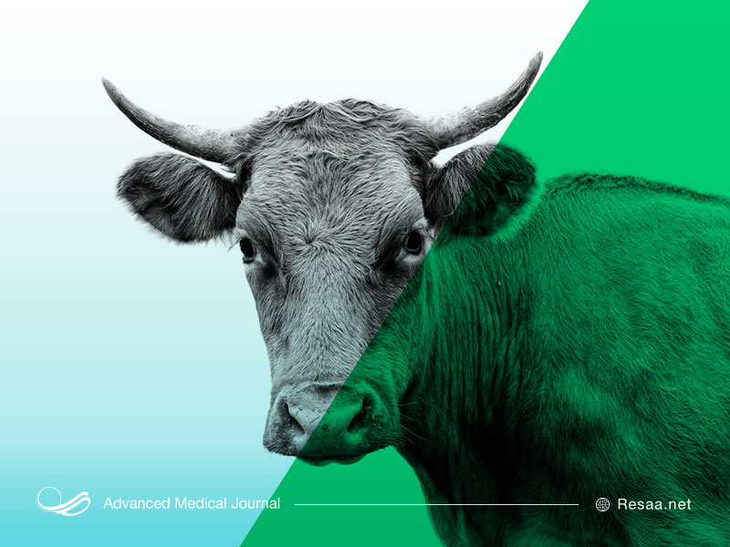 مصرف مواد غذایی قلیایی اسیدوز را تعدیل میکند.