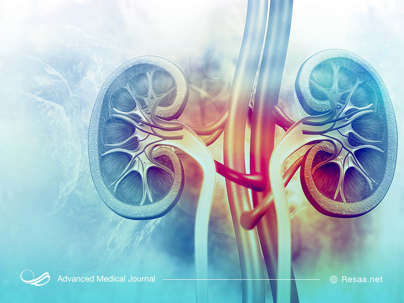 اسیدوز متابولیک از کلیهها آغاز میشود.