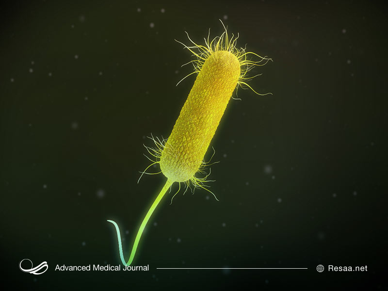 بیماری سودو تومور بعلت افزایش کاذب فشار درون جمجمه بوجود میاید.
