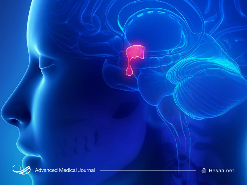 غده هیپوفیز